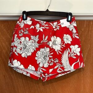 NWT Express Mid-Rise Shorts, Size 6